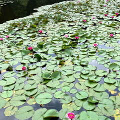 22-07-07 12-10-00 1500